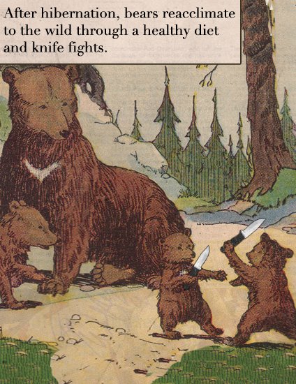 bear-knife-fight.jpg